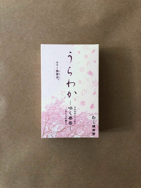Sakura (Cherry Blossom) | Urawaka by Seijudo