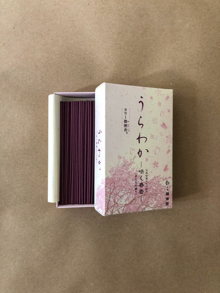 Sakura (Cherry Blossom) | Urawaka by Seijudo