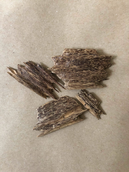 Wild Sarawaki | Pure Agarwood Chips