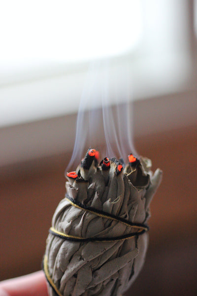 Sage Incense | Morning Star by Nippon Kodo
