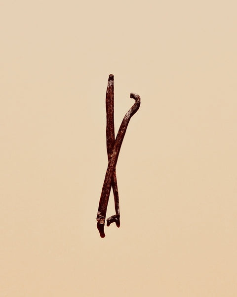 Vanilla Incense | Morning Star by Nippon Kodo