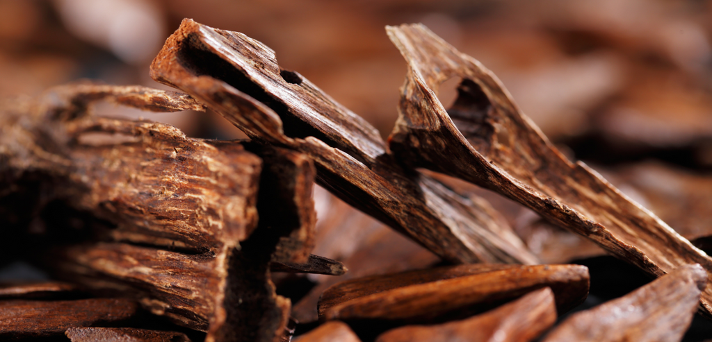 A Beginner's Guide to Burning Agarwood Chips