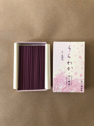 Sakura (Cherry Blossom) | Urawaka by Seijudo