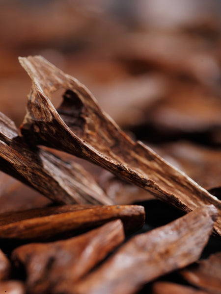 Aloeswood Discovery Set