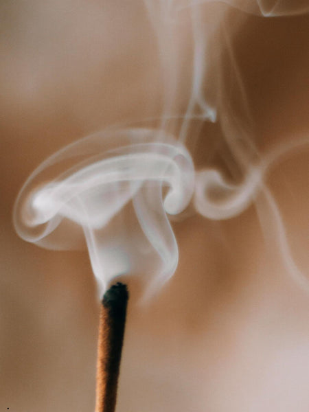 Bestseller Starter Set