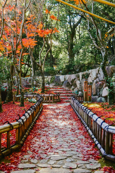 Kyoto Autumn Leaves, Kyo-Nishiki - Lotus Zen Incense
