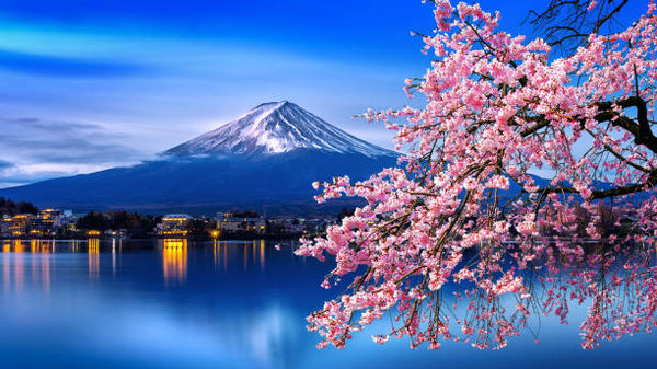 Mount Fuji (Long Sticks) | Incense Rolls by Les Encens du Monde